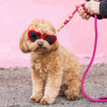 Load image into Gallery viewer, Hot Pink Marine Rope Dog Leash