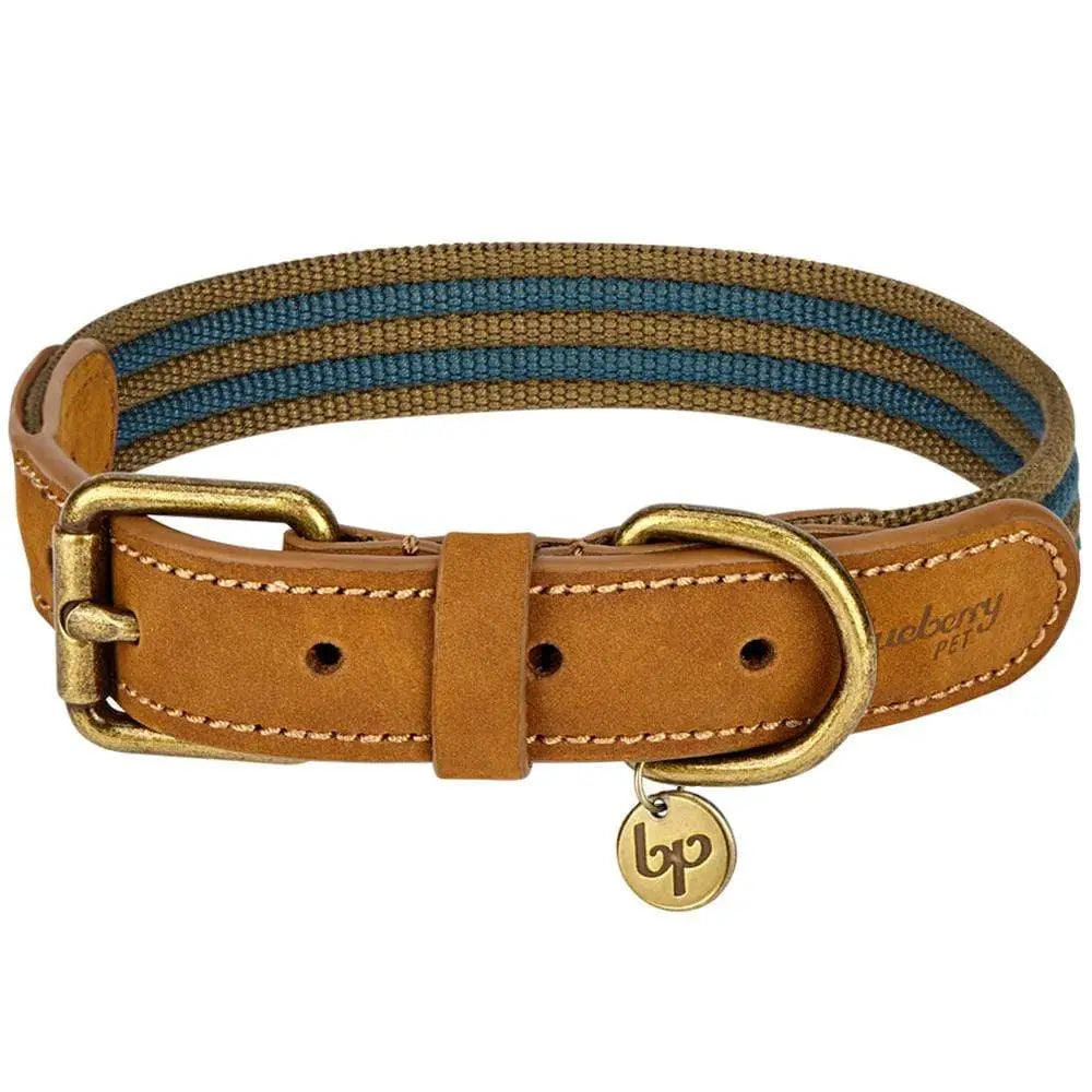 Pet Collars