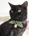 Load image into Gallery viewer, Ninja Cat Collar
