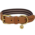 Load image into Gallery viewer, Stripe Premium Leather Dog Collar
