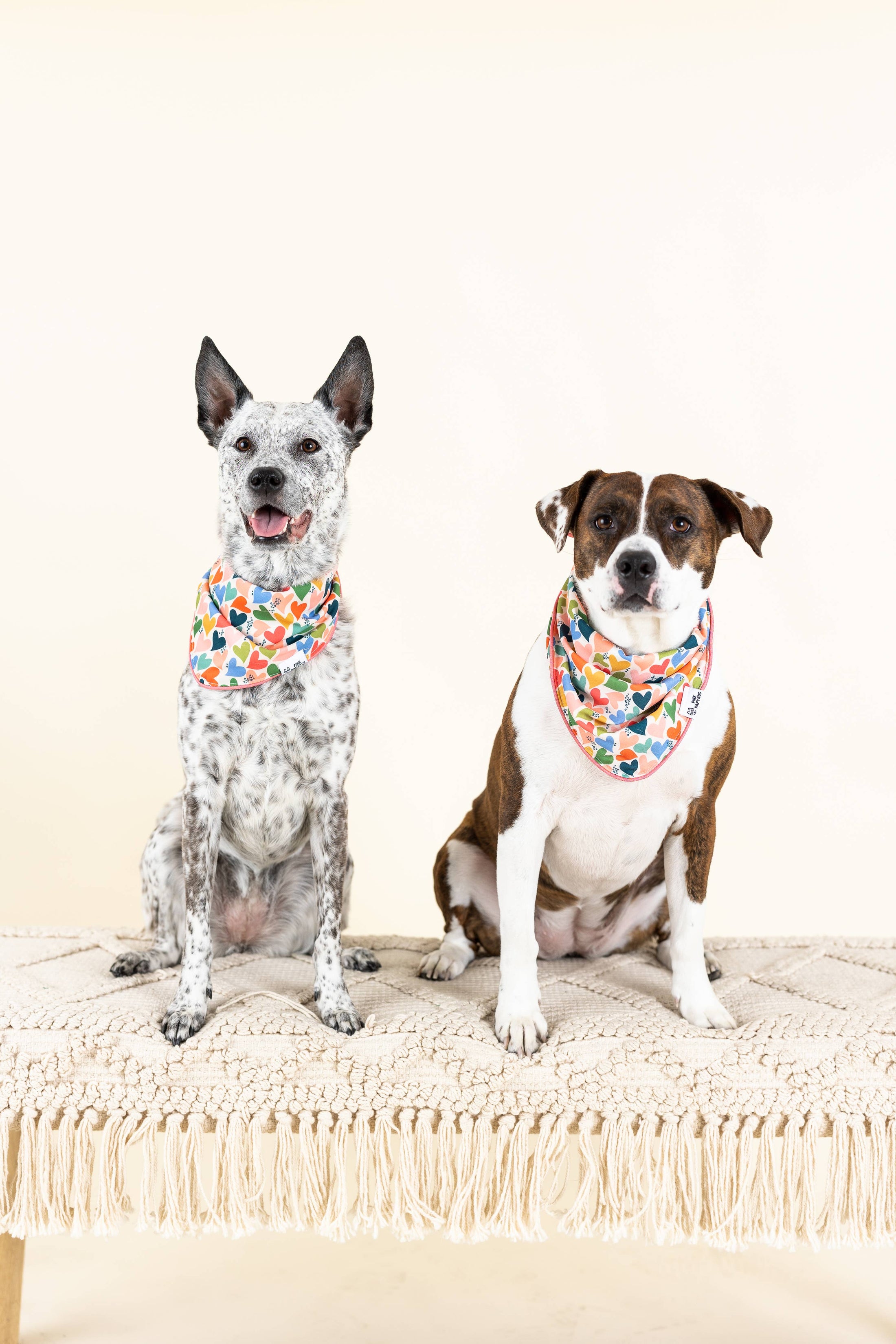Amelia Heart Dog Bandana