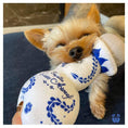 Load image into Gallery viewer, Claws Awoof Plush Dog Toy
