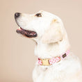 Load image into Gallery viewer, Sutton Pink Gingham Dog Collar
