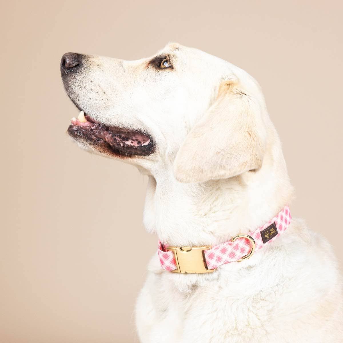 Sutton Pink Gingham Dog Collar