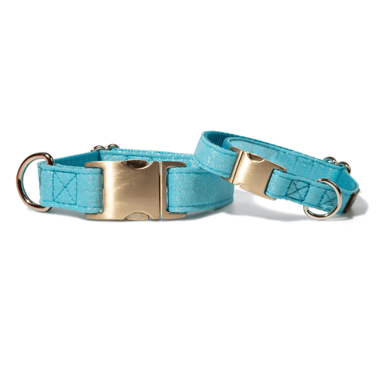 Dawson Glitter Dog Collar