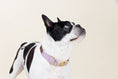Load image into Gallery viewer, Billie Dog Collar
