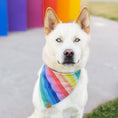 Load image into Gallery viewer, Over the Rainbow Dog Bandana

