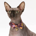 Load image into Gallery viewer, Kimono Bow Tie Cat Collar
