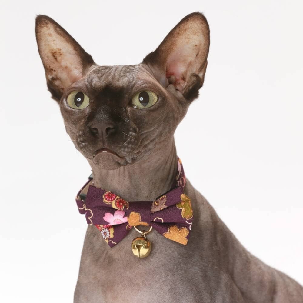 Kimono Bow Tie Cat Collar