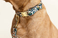 Load image into Gallery viewer, Beckett Dog Collar
