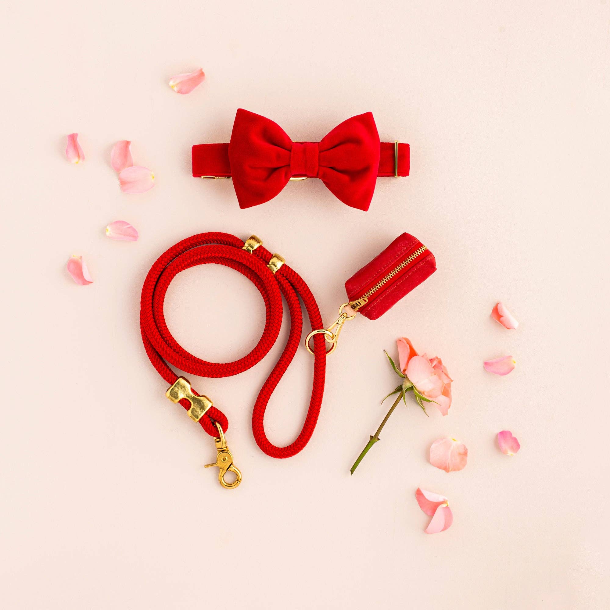 Ruby Red Marine Rope Dog Leash