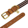 Load image into Gallery viewer, Stripe Premium Leather Dog Collar

