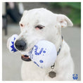 Load image into Gallery viewer, Claws Awoof Plush Dog Toy
