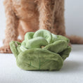 Load image into Gallery viewer, Snuffle Cabbage Nosework Toy
