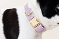 Load image into Gallery viewer, Billie Dog Collar
