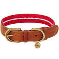 Stripe Premium Leather Dog Collar