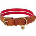 Load image into Gallery viewer, Stripe Premium Leather Dog Collar
