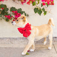 Load image into Gallery viewer, Ruby Red Lady Dog Bow

