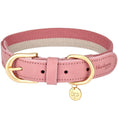 Load image into Gallery viewer, Stripe Premium Leather Dog Collar

