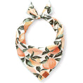 Load image into Gallery viewer, Peaches and Cream Dog Bandana
