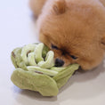 Load image into Gallery viewer, Snuffle Cabbage Nosework Toy
