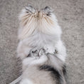 Load image into Gallery viewer, Roam LITE Hands-Free Crossbody Dog Leash
