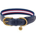 Stripe Premium Leather Dog Collar