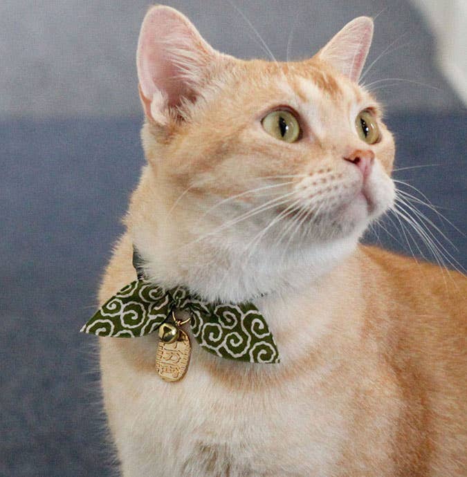Ninja Cat Collar
