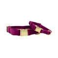 Load image into Gallery viewer, August Dog Collar
