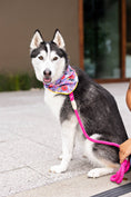 Load image into Gallery viewer, Vera Purple Floral Double Sided Dog Bandana

