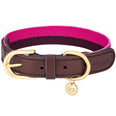 Stripe Premium Leather Dog Collar