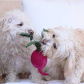 Load image into Gallery viewer, WOOL TURNIP
