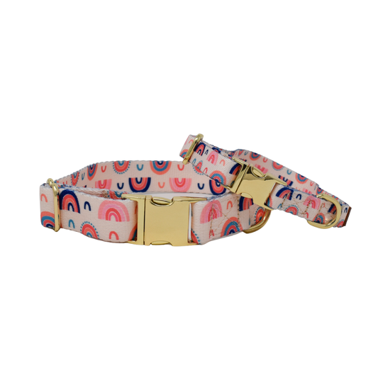 Clarke Rainbow Dog Collar
