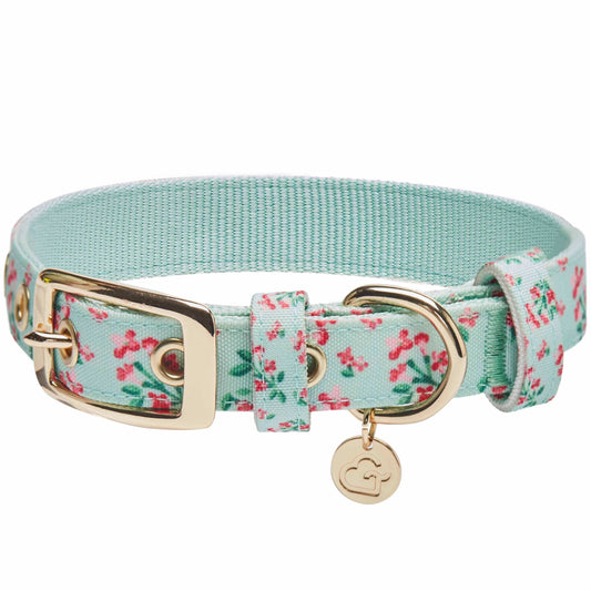 Floral Dog Collar