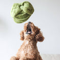 Load image into Gallery viewer, Snuffle Cabbage Nosework Toy
