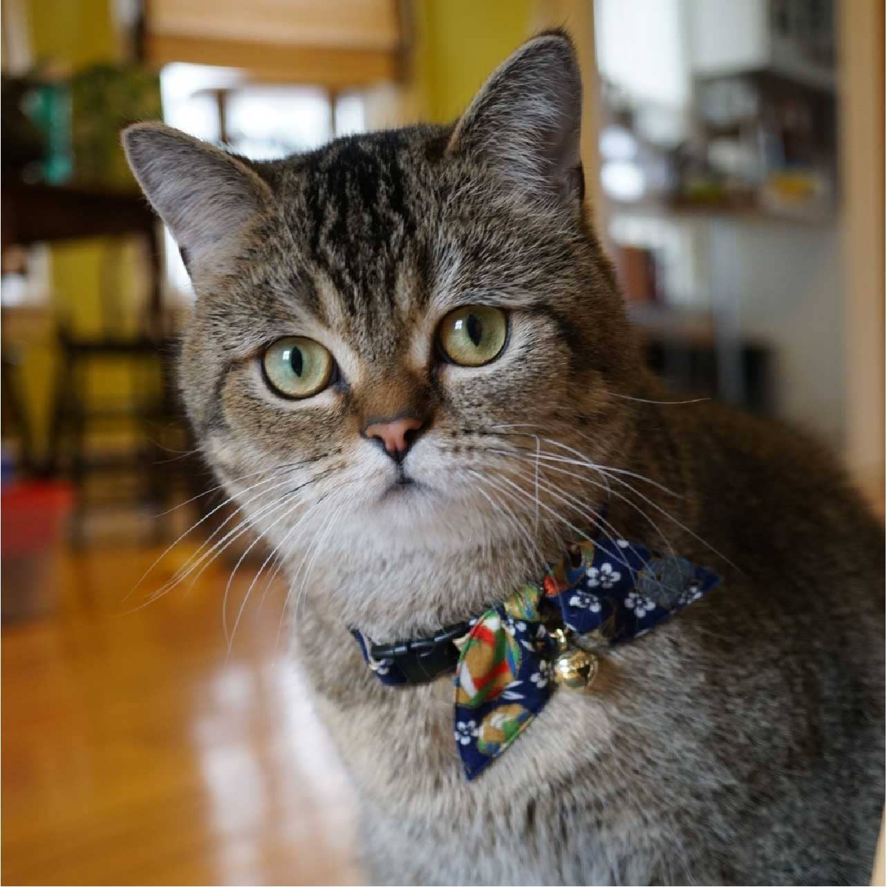 Kimono Ribbon Cat Collar