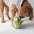 Load image into Gallery viewer, Snuffle Cabbage Nosework Toy
