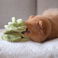 Load image into Gallery viewer, Snuffle Cabbage Nosework Toy
