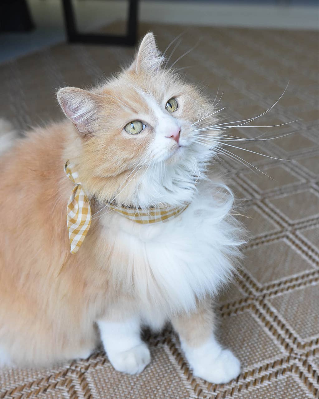 Beach Day Gingham Necktie