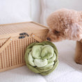 Load image into Gallery viewer, Snuffle Cabbage Nosework Toy
