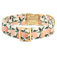 Load image into Gallery viewer, Peaches and Cream Dog Collar
