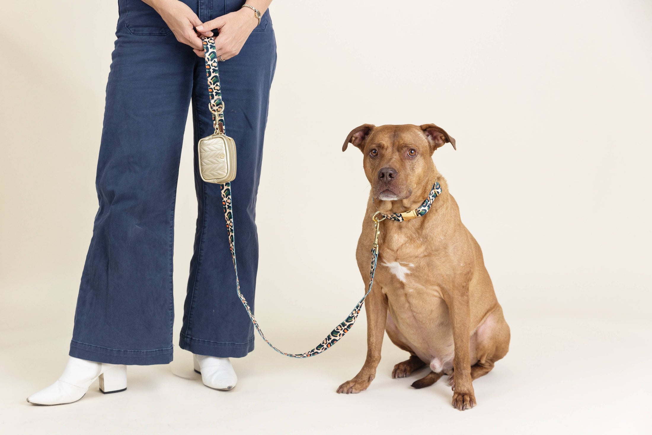 Beckett Leopard Dog Lead
