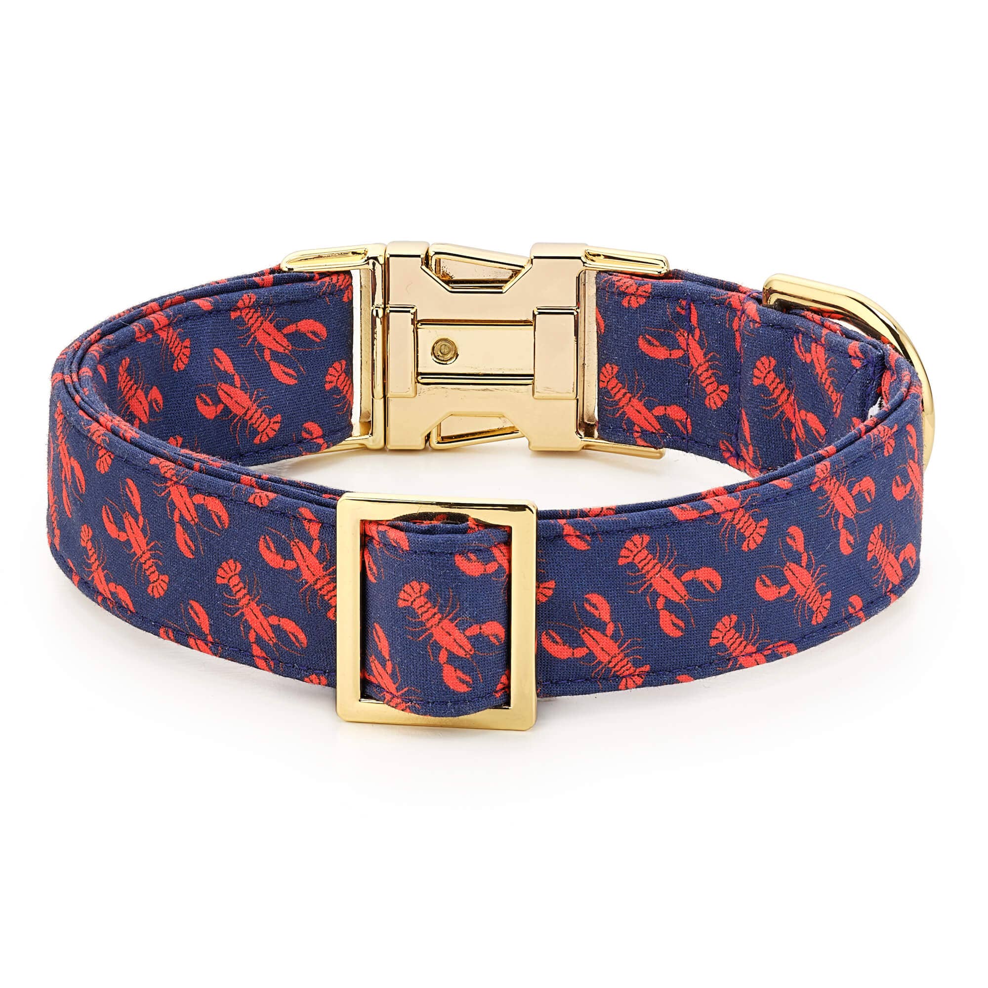 Catch of the Day Dog Collar
