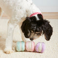 Load image into Gallery viewer, Macarons Interactive Snuffle Dog Toy
