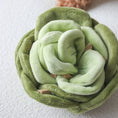 Load image into Gallery viewer, Snuffle Cabbage Nosework Toy
