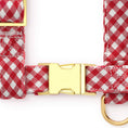 Load image into Gallery viewer, Red Gingham Dog Harness

