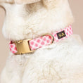 Load image into Gallery viewer, Sutton Pink Gingham Dog Collar
