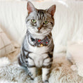 Load image into Gallery viewer, Matsuri Bow Tie Cat Collar
