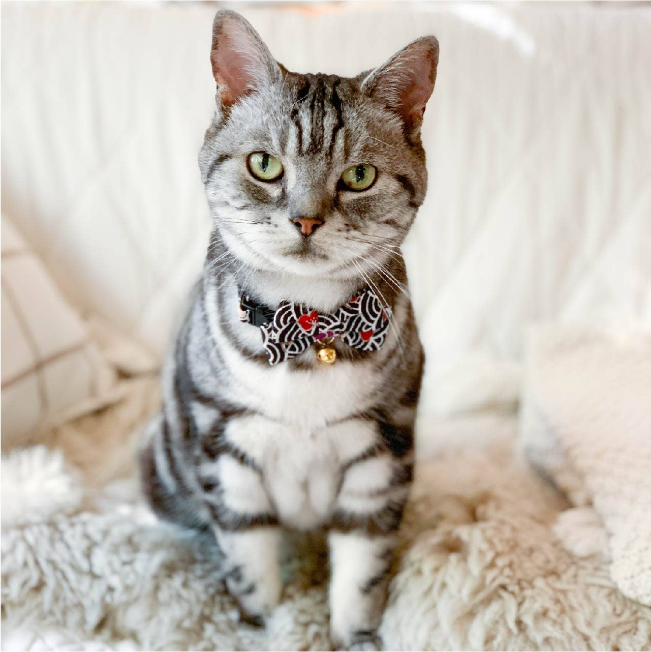 Matsuri Bow Tie Cat Collar