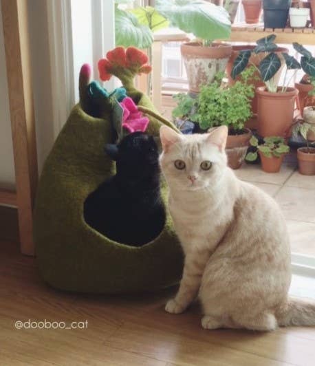 Bouquet Wool Pet Cave
